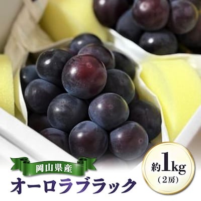【先行受付|9月上旬頃より順次発送】岡山県産『オーロラブラック』　約1kg(2房)