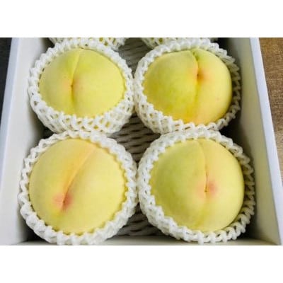 【先行受付|8月上旬頃より順次発送】岡山県ブランド『清水白桃』　約1kg(3~4玉)