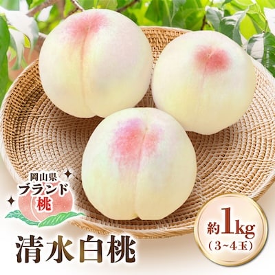 【先行受付|8月上旬頃より順次発送】岡山県ブランド『清水白桃』　約1kg(3~4玉)