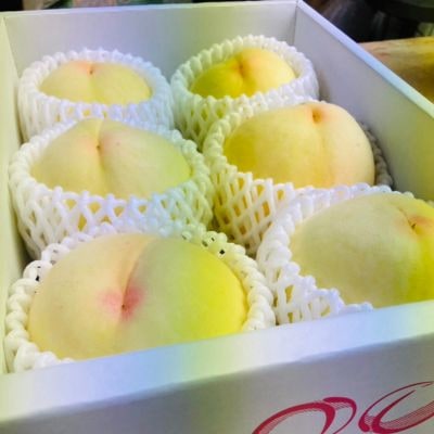 【先行受付|8月上旬頃より順次発送】岡山県ブランド『清水白桃』　約1kg(3~4玉)