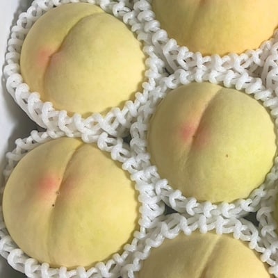 【先行受付|8月上旬頃より順次発送】岡山県ブランド『清水白桃』　約1kg(3~4玉)