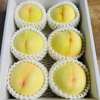 【先行受付|8月上旬頃より順次発送】岡山県ブランド『清水白桃』　約2kg(6~8玉)