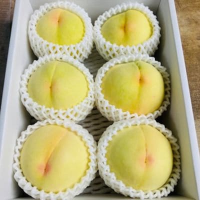 【先行受付|8月上旬頃より順次発送】岡山県ブランド『清水白桃』　約2kg(6~8玉)