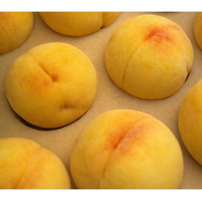 【先行受付|8月下旬頃より順次発送】岡山県産『黄金桃』　約1kg(3～4玉)