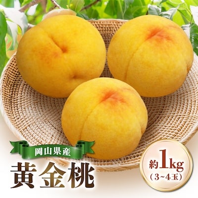 【先行受付|8月下旬頃より順次発送】岡山県産『黄金桃』　約1kg(3～4玉)