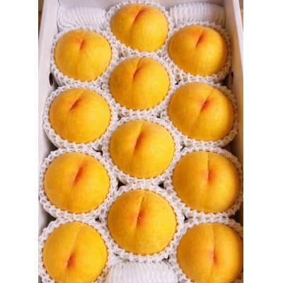 【先行受付|8月下旬頃より順次発送】岡山県産『黄金桃』　約1kg(3～4玉)