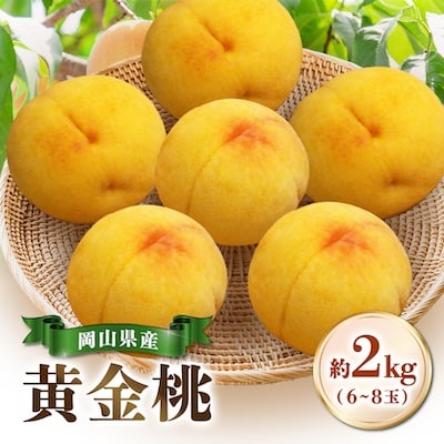 【先行受付|8月下旬頃より順次発送】岡山県産『黄金桃』　約2kg(6~8玉)