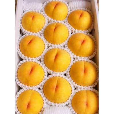 【先行受付|8月下旬頃より順次発送】岡山県産『黄金桃』　約2kg(6~8玉)