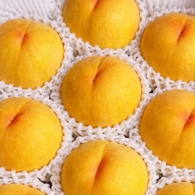 【先行受付|8月下旬頃より順次発送】岡山県産『黄金桃』　約2kg(6~8玉)