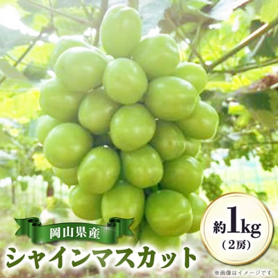 【先行受付|9月上旬頃より順次発送】岡山県産『シャインマスカット』　約1kg(2房)
