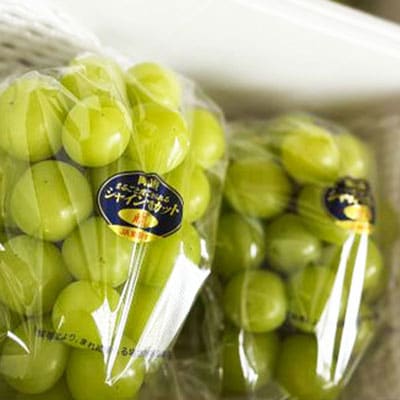 【先行受付|9月上旬頃より順次発送】岡山県産『シャインマスカット』　約1kg(2房)