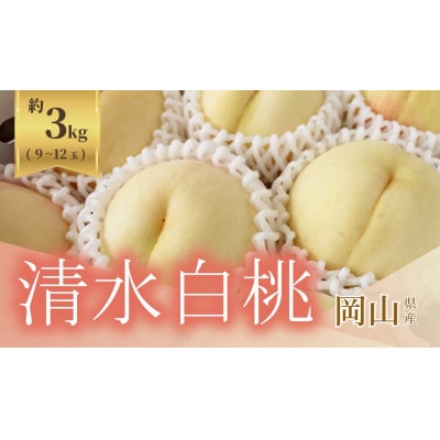 《2026年発送》岡山県産 清水白桃 3kg 9～12玉