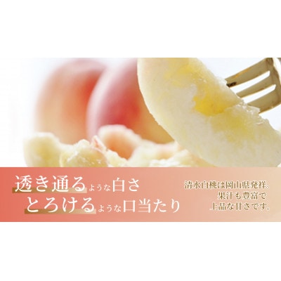 《2026年発送》岡山県産 清水白桃 3kg 9～12玉