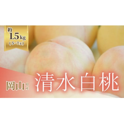 《2026年発送》岡山県産清水白桃 1.5kg 5～7玉