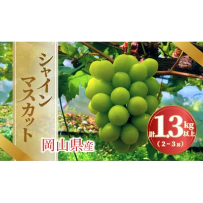 《2026年発送》岡山県産 シャインマスカット 1.3kg以上 2～3房