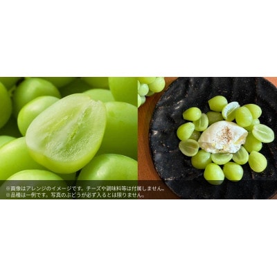 【さとふる限定】【5kg】10種から厳選!何が届くかお楽しみのぶどう食べ比べBOX