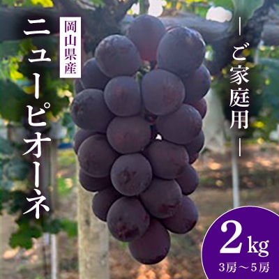 岡山県産　ニューピオーネ　2kg(3房～5房)　【ご家庭用】