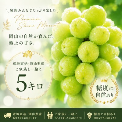 『5キロ』産地直送・岡山県産シャインマスカット