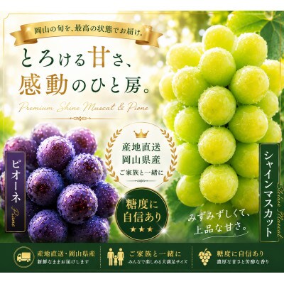 岡山県産ぶどう詰め合わせ【福袋】1.8キロ以上(シャインマスカット1.0キロ以上お約束します)