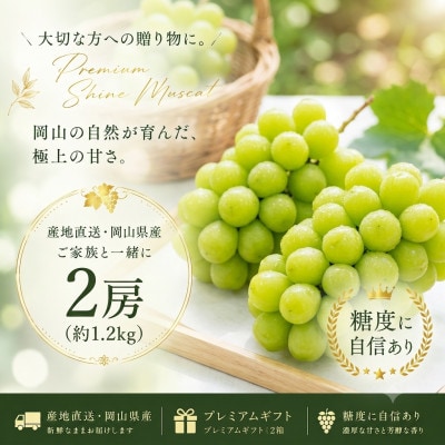 産地直送!【岡山県産・厳選品2房】シャインマスカット(計1.2kg)