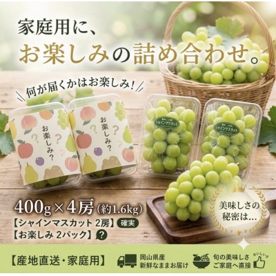 【お楽しみ福袋2026】シャインマスカット+その他の品種(計2-3種・400g×4)