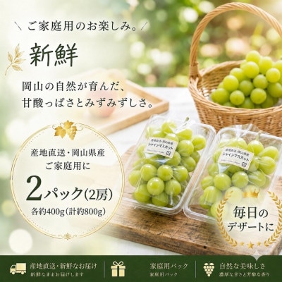 【食べきりサイズ】岡山県産シャインマスカット 400g×2パック(計800g)
