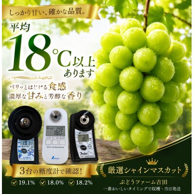 【食べきりサイズ】岡山県産シャインマスカット 400g×2パック(計800g)