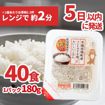 境町産こしひかり使用 低温製法米パックライス 180g×40個 | ふるさと納税のお礼品