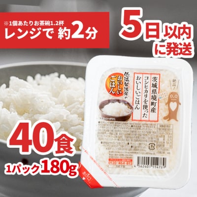 茨城県境町産こしひかり使用 低温製法米パックライス 180g×40個