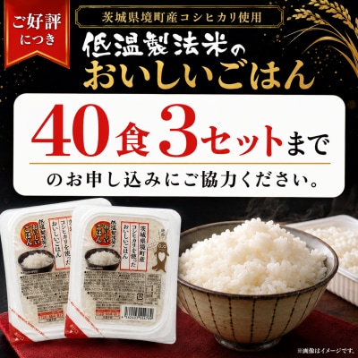 【さとふる限定】◎最短翌日発送◎ コシヒカリ パックごはん 40食 訳あり 茨城県境町産 米