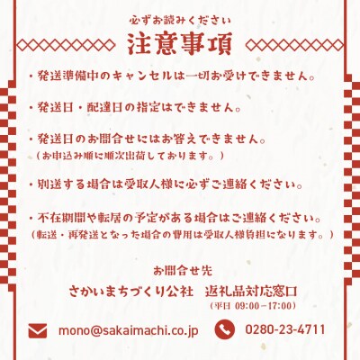 境町産こしひかり使用 低温製法米パックライス180g×40個