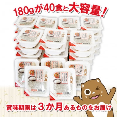 茨城県境町産コシヒカリ使用 低温製法米 おいしいごはん(パックごはん) 180g×40食(1箱)