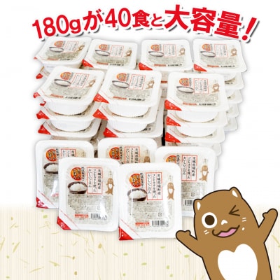 【さとふる限定】◎最短翌日発送◎ コシヒカリ パックごはん 40食 訳あり 茨城県境町産 米