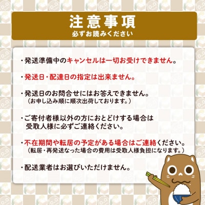 【さとふる限定】◎最短翌日発送◎ コシヒカリ パックごはん 40食 訳あり 茨城県境町産 米