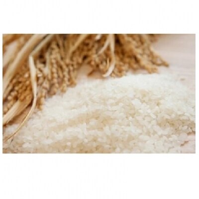 <配送月おまかせ>【令和元年産】茨城県のお米4種食べくらべ20kgセット