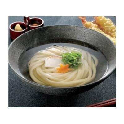 丹念仕込み 本場さぬきうどん 40食分 冷凍食品 | お礼品詳細