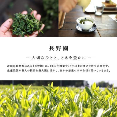 さしま茶 長野園のぽかぽか 生姜入り ほうじ茶 ティーバッグ 120g (4g×30包) × 3袋