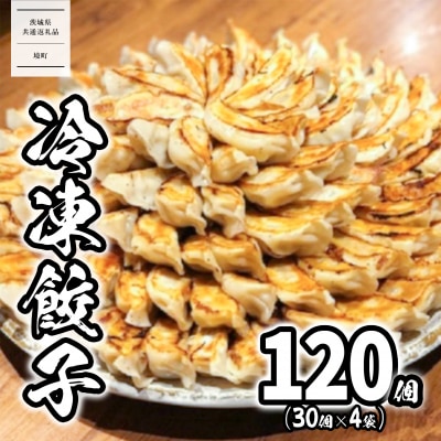 【茨城共通返礼品】〈2026年4月発送〉 ローズポーク使用 道の駅さかい 特製 冷凍餃子 120個
