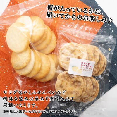 【2025年12月発送】【訳あり】煎餅詰め合わせ あれこれ! 2.8キログラム