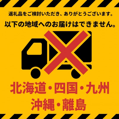 【幸水】さかいの梨幸水 3kg (限定80箱)