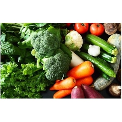 季節の野菜 道の駅さかいオリジナル 駅 おすすめ野菜セット お礼品詳細 ふるさと納税なら さとふる