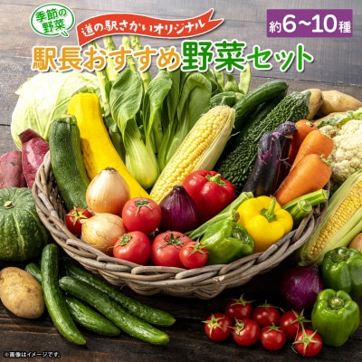 季節の野菜 「道の駅さかいオリジナル」駅⻑おすすめ野菜セット