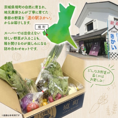 季節の野菜 「道の駅さかいオリジナル」駅⻑おすすめ野菜セット