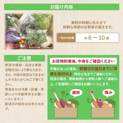 季節の野菜 「道の駅さかいオリジナル」駅⻑おすすめ野菜セット