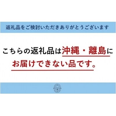 22年8月お届け 樽 クラフトビール3リットル さしま茶ipa 専用ポンプ付き お礼品詳細 ふるさと納税なら さとふる 22年8月お届け 樽 クラフトビール3リットル さしま茶ipa 専用ポンプ付き お礼品詳細 ふるさと納税なら さとふる