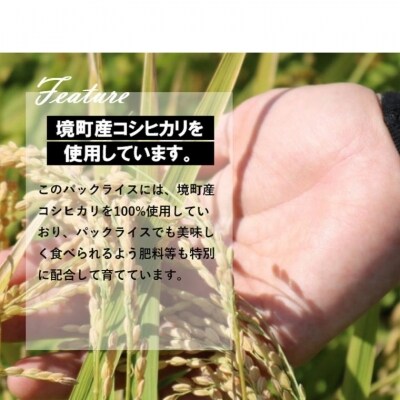 【ご飯&明太もつ鍋】パックライス40食とかねふく明太もつ鍋