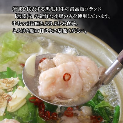 【茨城県共通返礼品】常陸牛 もつ鍋セット 1kg (250g × 4パック)  牛もつ もつ