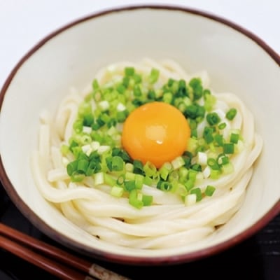 境の手のばし麺 うどん 10人前&times;10箱 