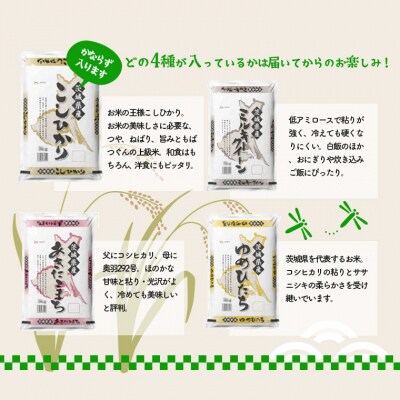 【令和4年産】新米 先行受付 茨城県のお米4種食べ比べ12kgセット(3kg×4袋)