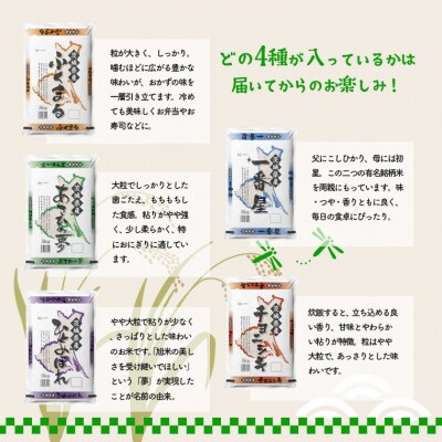 【令和4年産】新米 先行受付 茨城県のお米4種食べ比べ12kgセット(3kg×4袋)